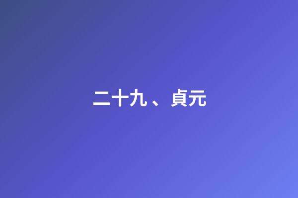 二十九、貞元